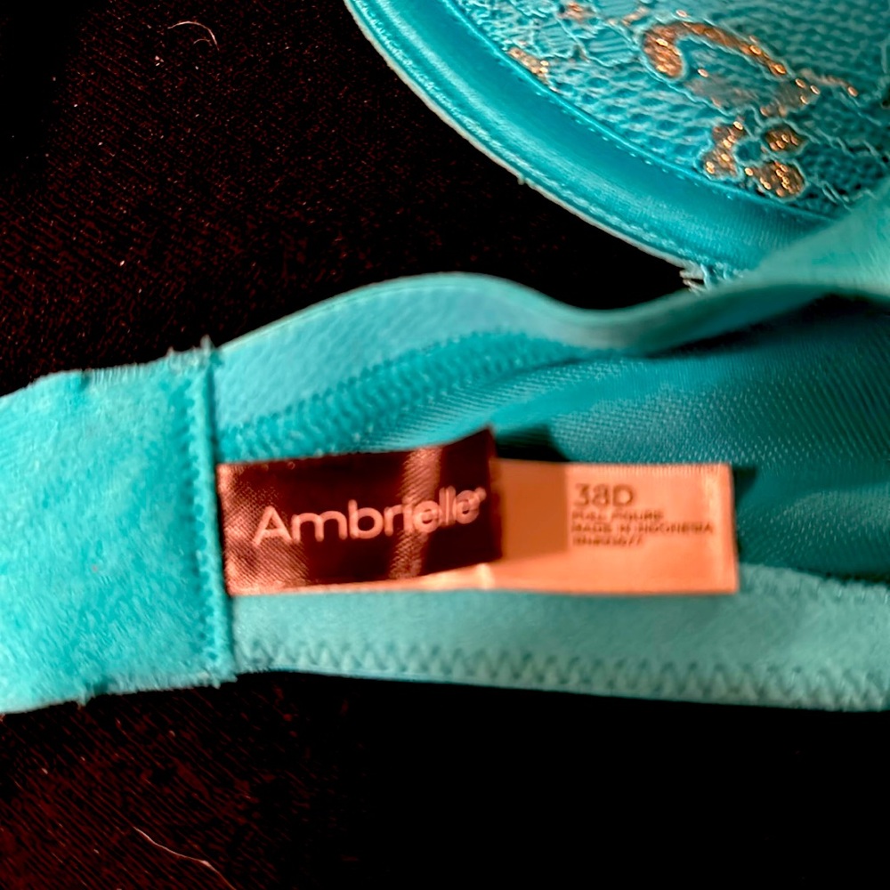 NEW Ambrielle Aqua bra with metallic gold thread detail.